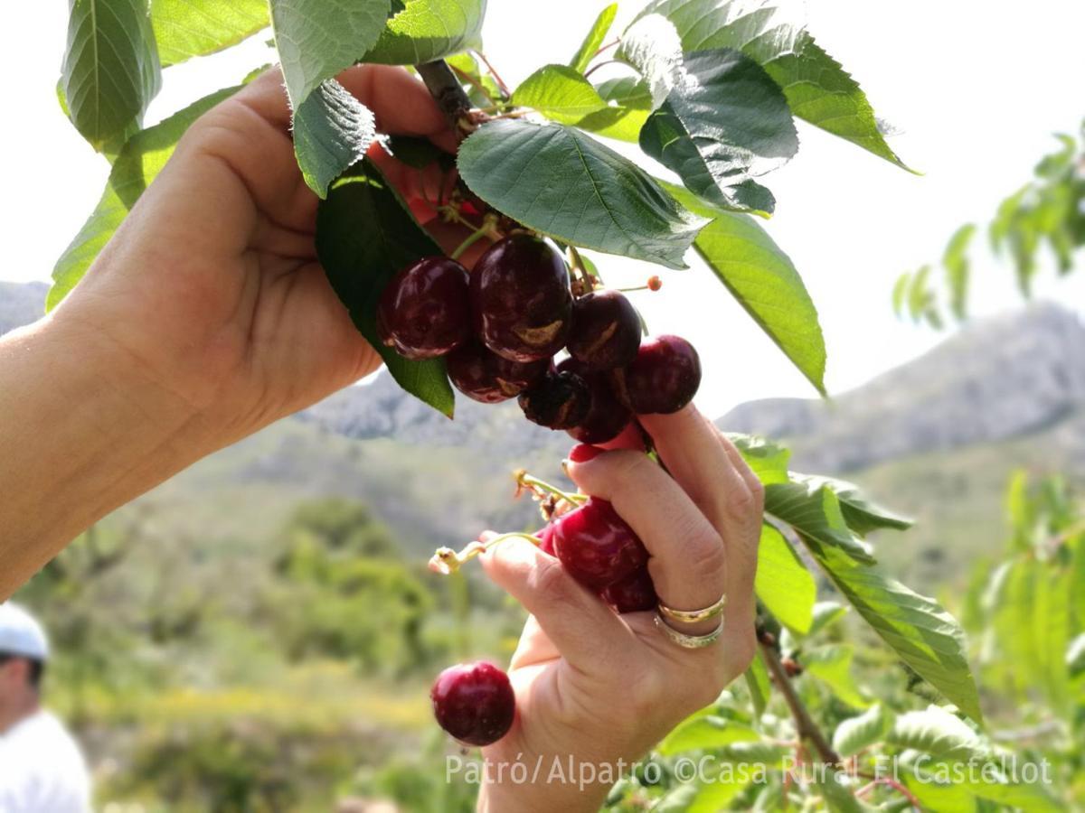 Aparthotel Buhardilla Rustica En La Vall De Gallinera Patró Exterior foto
