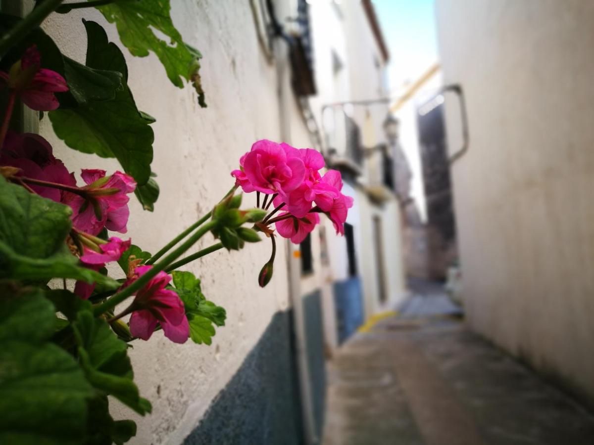 Aparthotel Buhardilla Rustica En La Vall De Gallinera Patró Exterior foto
